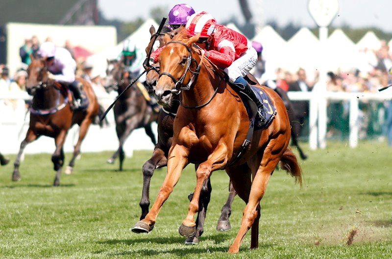 Daahyeh winning the G3 Albany Stakes, Royal Ascot