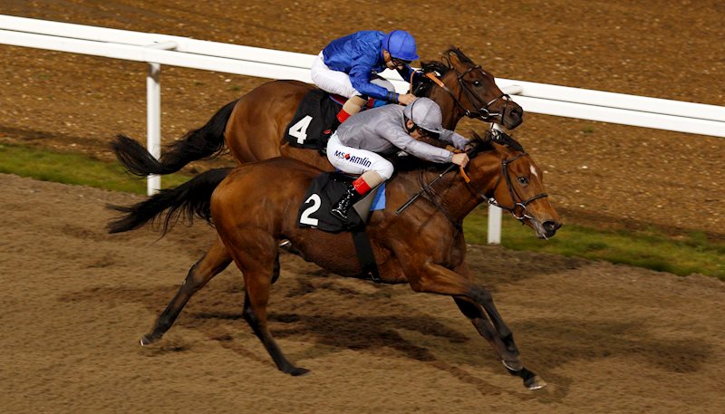 Farnham breaks her maiden in a 7f fillies' novice at Chelmsford, 24 Oct 2019