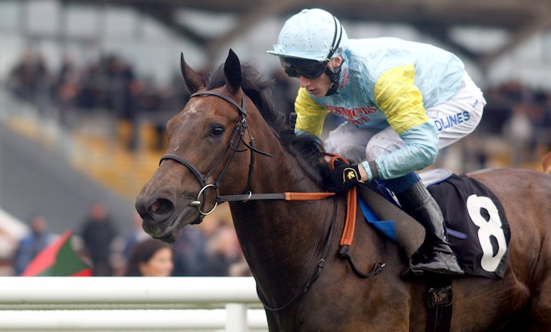 Qamka winning her novice at Newbury earlier in the year