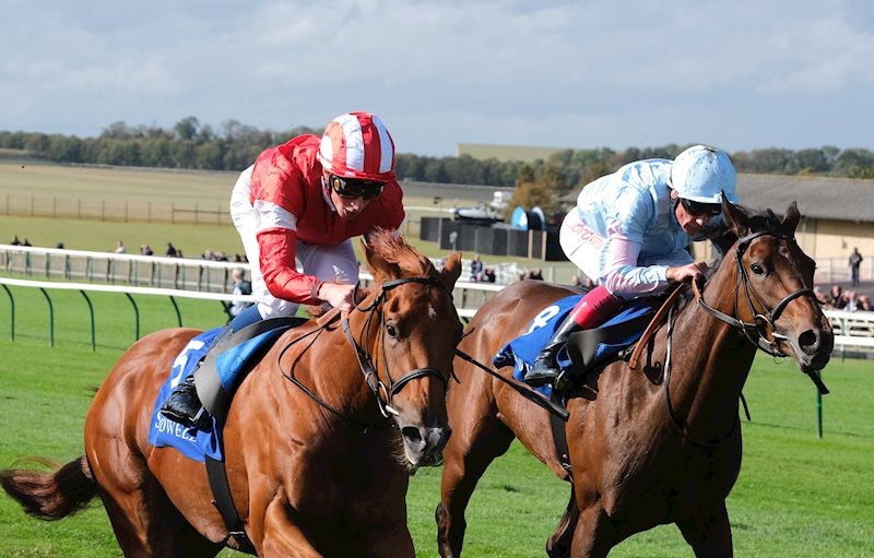 Stylistique runs on to claim second under Frankie Dettori