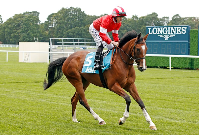 Queen Daenerys (Frankel x Song To Remember)