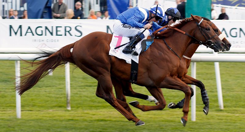 Mutamaasik gets up by a short head at Doncaster to make it four wins on the bounce, 12 Sept 2019