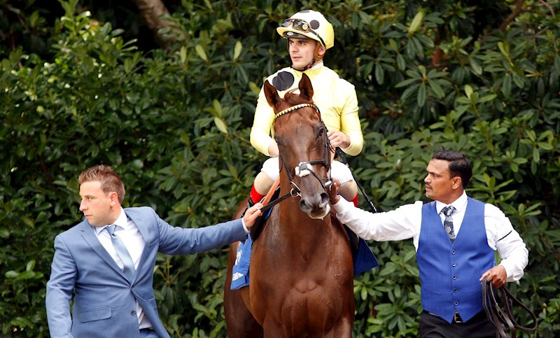 Zabeel Prince led up by Sam Davis and Ravinder Ramdass