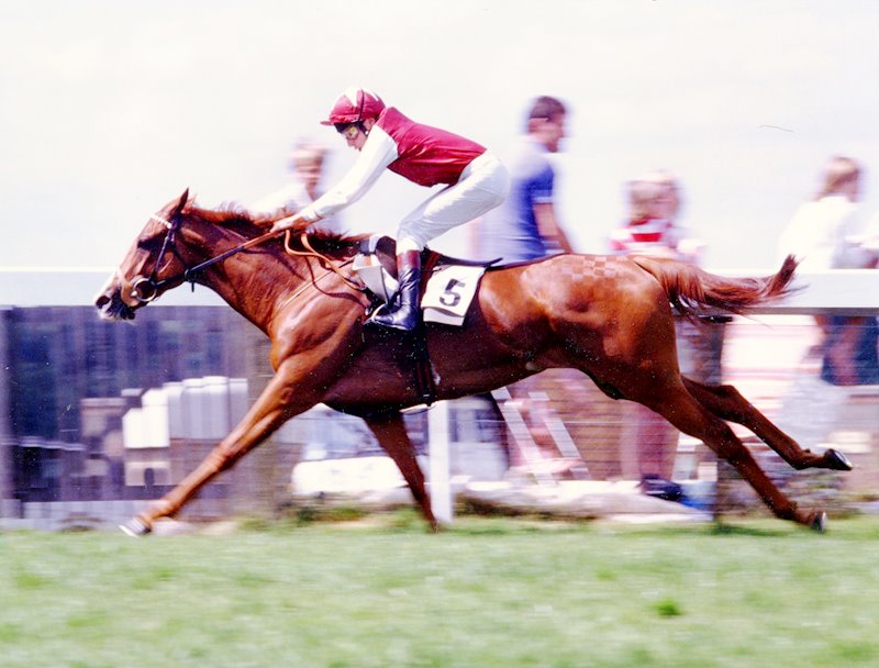 Pebbles (picture: National Heritage Centre for Horseracing & Sporting Art)