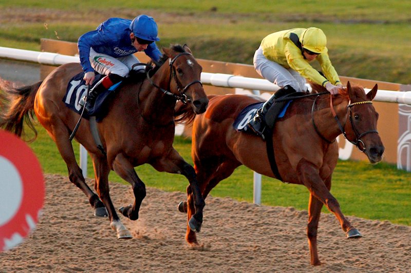 Nehaall gets on top to secure her first win in the 7f fillies' novice at Wolverhampton, 3rd January 2020