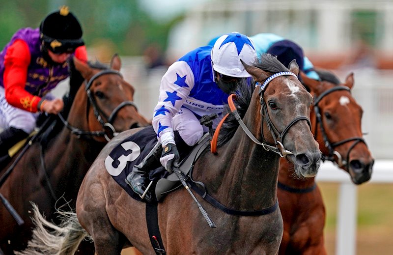 Angel Power winning her second start at Chelmsford under Silvestre De Sousa