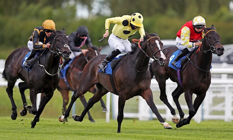 Esprit Rose getting off the mark at Leicester under Jack Mitchell