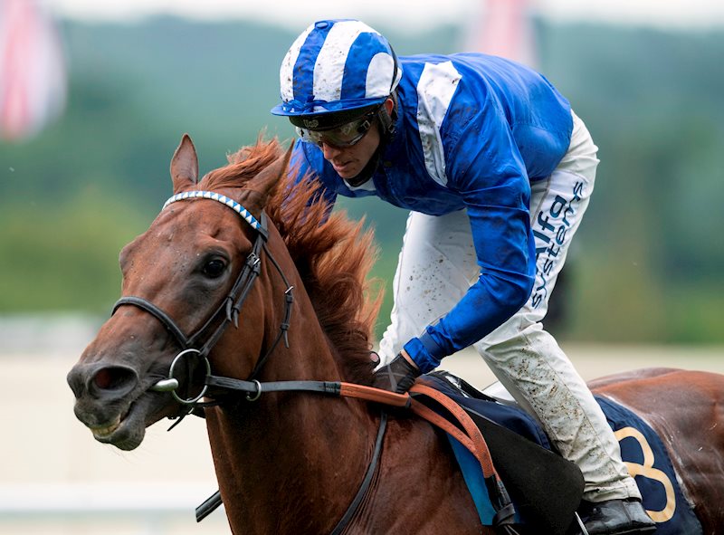 Molatham and Jim Crowley win the G3 Jersey Stakes at Royal Ascot