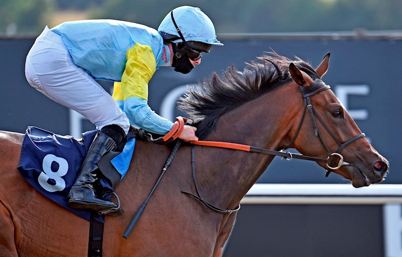 Ligera flicks an ear forward as she passes the line in front at Lingfield
