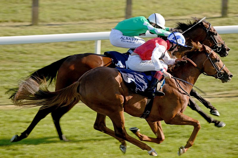 Establish getting on terms with Defence Girl inside the final furlong