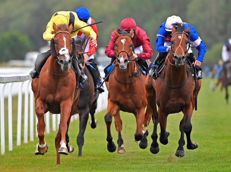 Qaaddim (left) fends off all challengers to win by ½l and record his second career win