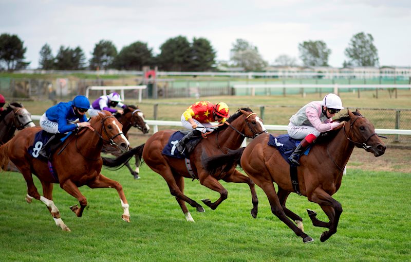 Imperial Yellow winning at Yarmouth on his second start under David Egan (29.06.20)