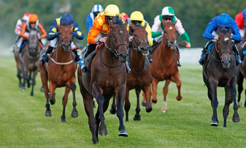 Tinker Toy kicking clear of the field on his first start at Salibsury