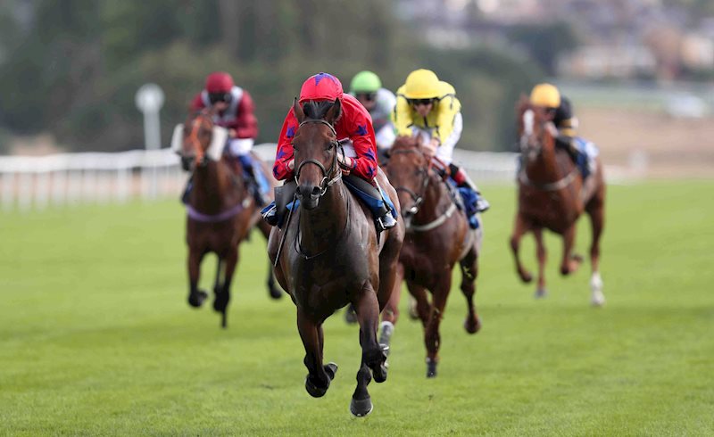 Musicality scoots clear under David Egan to win on his second start