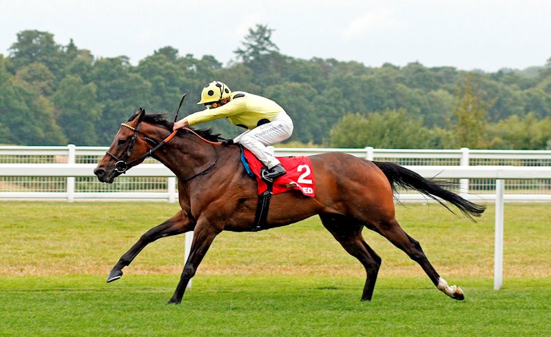 Look Closely extending his advantage in the closing stages at Ascot under Andrea Atzeni