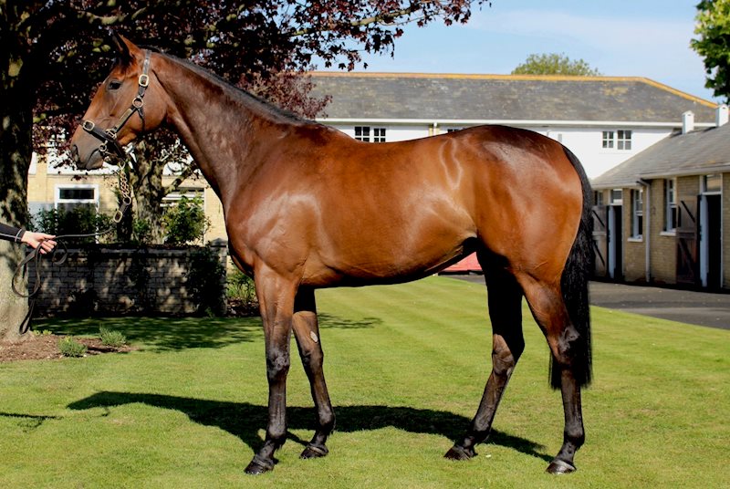 Progressive (Nathaniel x Graduation)