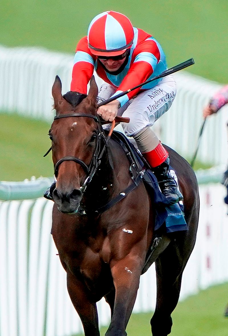 Believe In Love winning at Glorious Goodwood