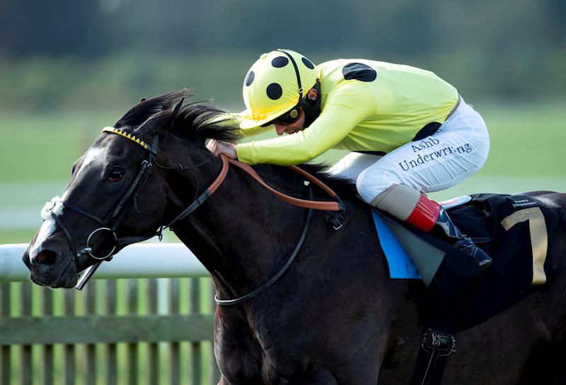 Royal Champion and Andrea Atzeni