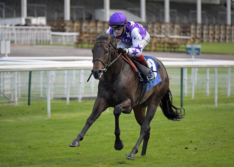 Baradar and David Egan in splendid isolation at York on Saturday