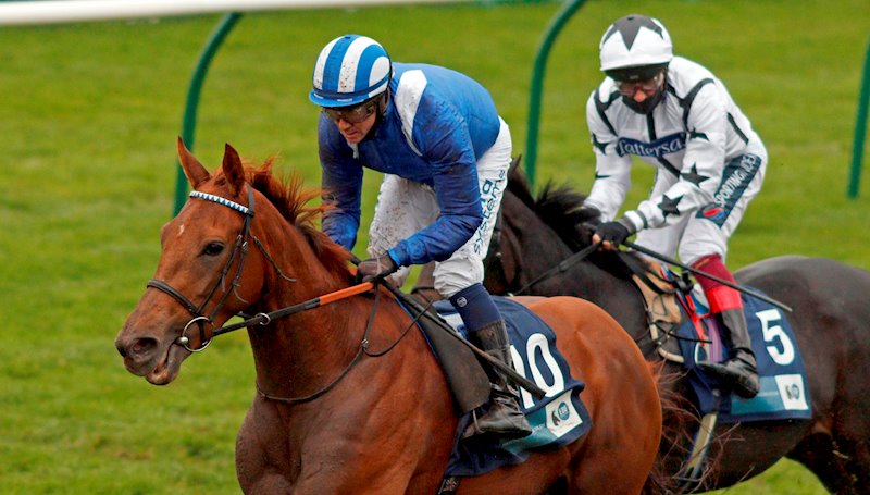 ZEYAADAH (Newmarket 31.10.20)