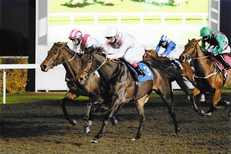 Famille Rose and Andrea Atzeni get on top inside the final furlong at Kempton