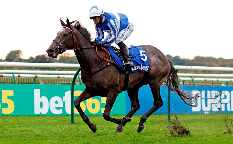 Angel Power winning the G3 Pride Stakes