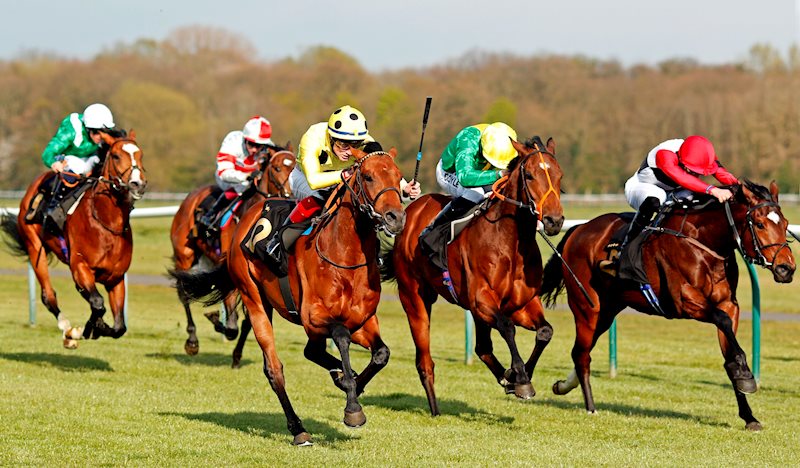 THIRD REALM gets home in front under David Egan in the RacingTV Profits Returned To Racing Maiden Stakes.