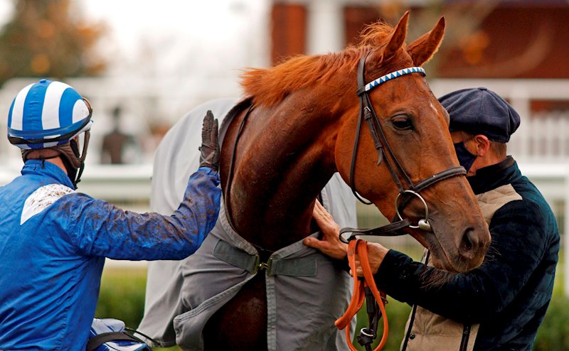 ZEYAADAH (Newmarket 31.10.20)