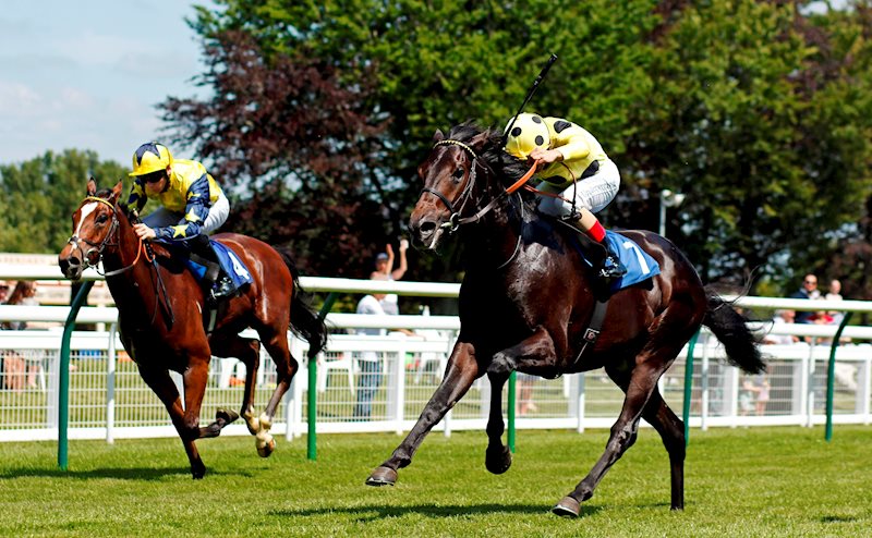 PAPACITO running on well to land the MansionBet Watch And Bet Novice Stakes