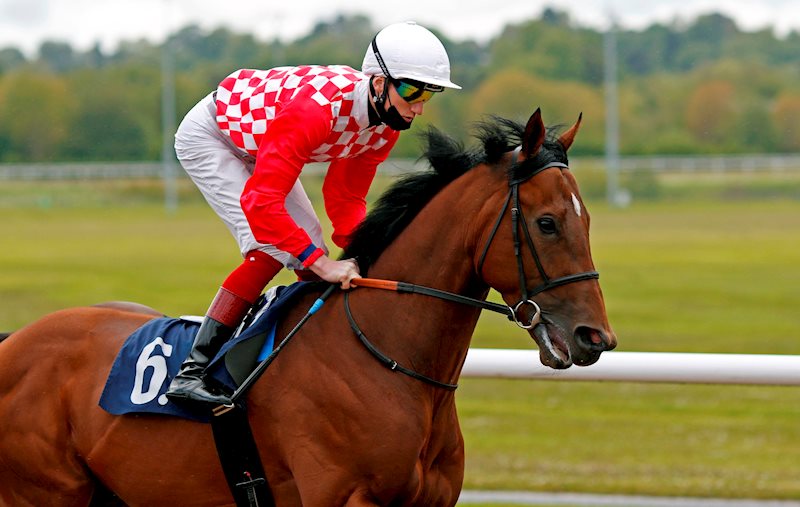 DINOO (Wolverhampton May24th)