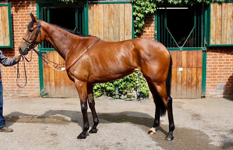 Cheshire Plain - July 2021