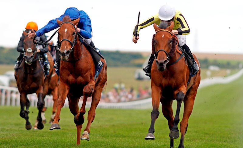 SAVE A FOREST (pictured right in yellow and black stripes) at Newmarket 31.7.21