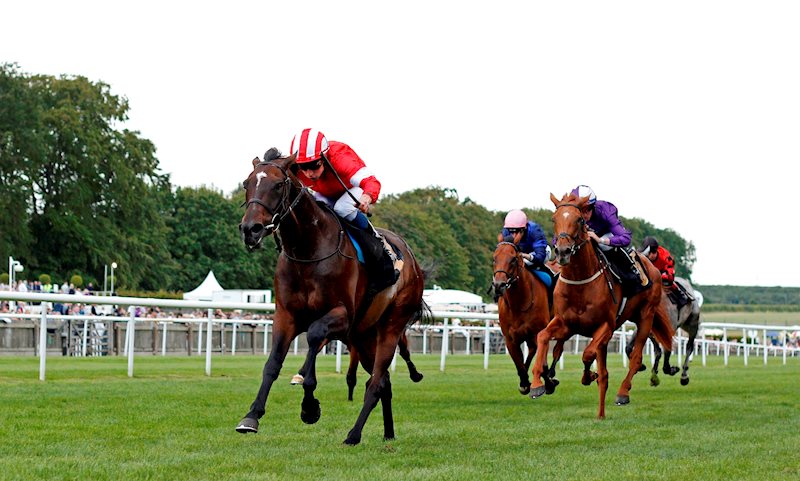 Classical Wave (Red) at Newmarket this weekend.