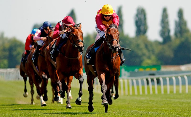 Bayside Boy (IRE) - 1st Newbury 16.07.21