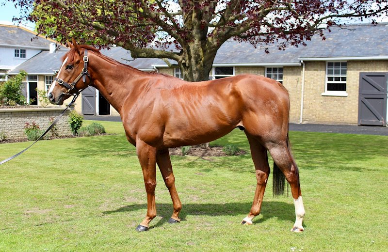 Premier Power (GB) - July 2021