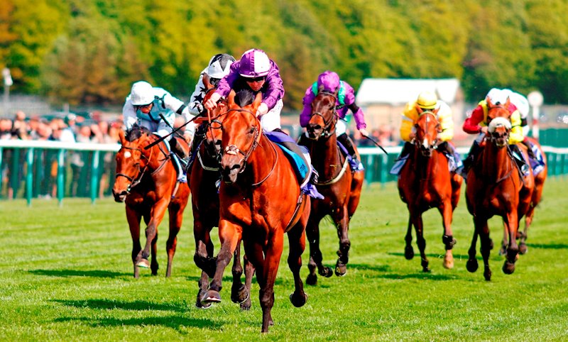 Raadobarg (IRE) - First Haydock 22.05.21