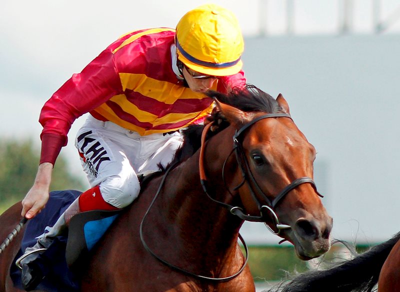 Bayside Boy and David Egan