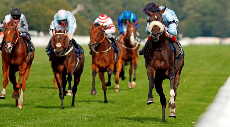 Title - pictured right in the nose band and blue and navy silks.