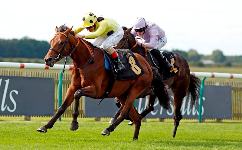 SUBASTAR (yellow and black dots) wins in the British Stallion Studs EBF Maiden Stakes at Newmarket