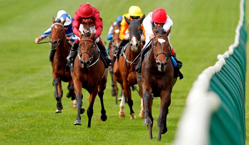 Miss Carol Ann - right red silk cap and white arms. Wins on debut in the Blandford Bloodstock Maiden Fillies' Stakes at Newmarket - 25.9.21