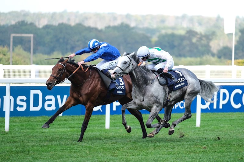 Eshaada at Ascot - Shadwell blue and white silks