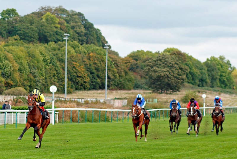 ELDAR ELDAROV and David Egan (yellow and black silks) pulling clear at Nottingham today.