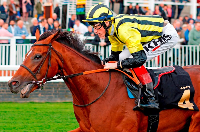 ELDAR ELDAROV and David Egan