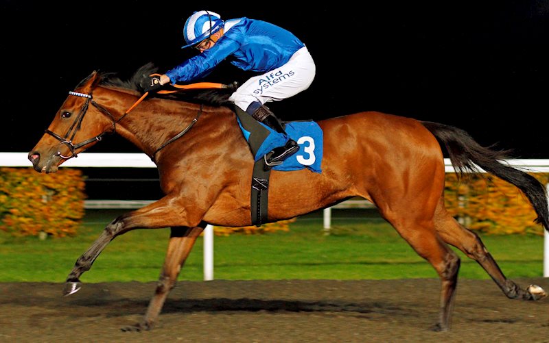 Jim Crowley in the iconic Shadwell Racing blue and white colours.