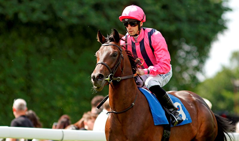 POET (at Salisbury Racecourse in August 2021)