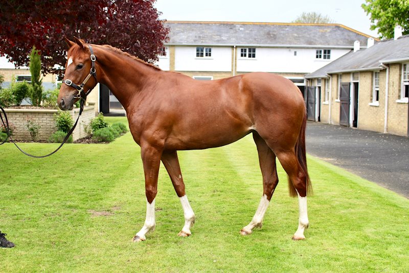 SOCIAL CONTACT (GB) May 2021