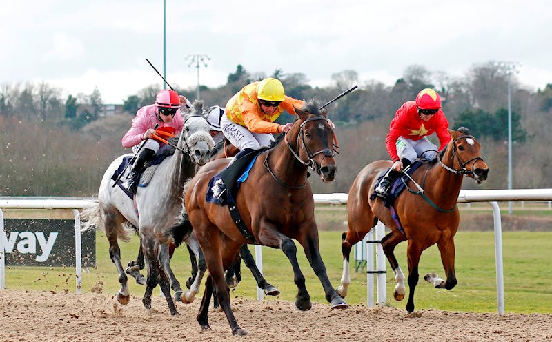 TINKER TOY today at Wolverhampton