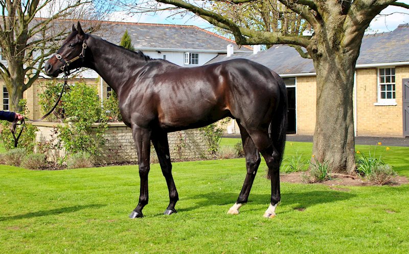 EYDON (IRE) - April 2022