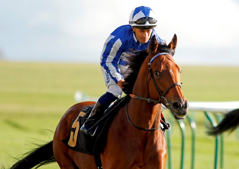 GREATGADIAN (Newmarket October 2021)