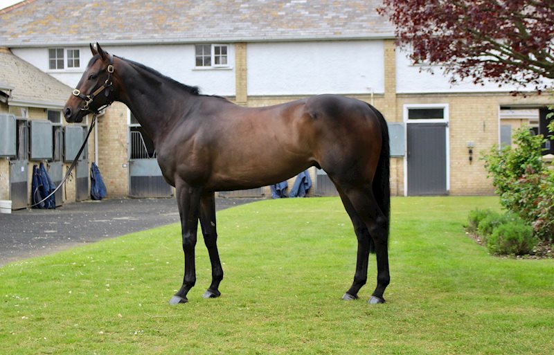 ROBERT WALPOLE (GB) May 2022
